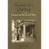 Somebody's Darling: Essays on the Civil War