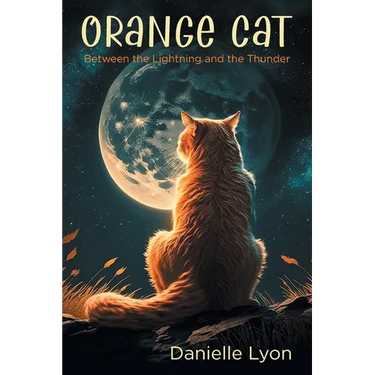 Orange Cat: Between the Lightning and the Thunder