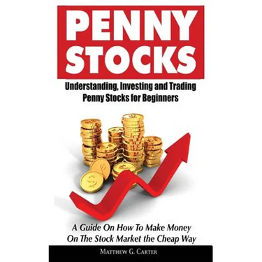 Penny Stocks: Understanding, Investing and Trading Penny Stocks for Beginners A Guide On How To Make Money On The Stock Market the Cheap Way