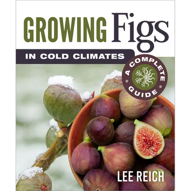 Growing Figs in Cold Climates: A Complete Guide