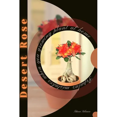 Desert Rose: Popular mistakes when you growing PLANT at home