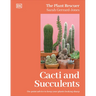 Cacti and Succulents: On-Point Advice to Keep Your Plants Looking Sharp