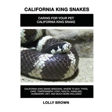 California King Snakes: California King Snake breeding, where to buy, types, care, temperament, cost, health, handling, husbandry, diet, and m