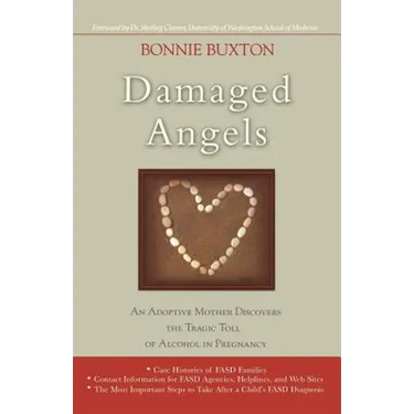 Damaged Angels: An Adoptive Mother Discovers the Tragic Toll of Alcohol in Pregnancy