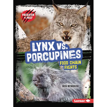Lynx vs. Porcupines: Food Chain Fights