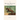 Regency Revenge & Other Stories