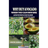 Why Buy Avocado When You Can Own One: A Step by Step Guide to Grow & Dwarf Tree