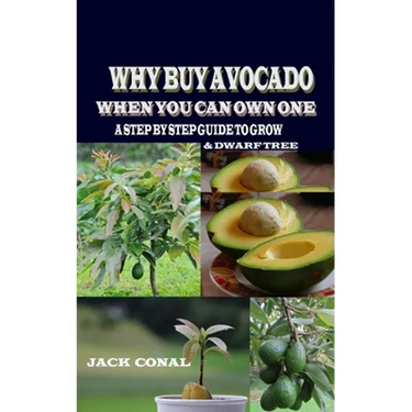 Why Buy Avocado When You Can Own One: A Step by Step Guide to Grow & Dwarf Tree