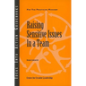 Raising Sensitive Issues in a Team