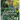 Garden in Transition