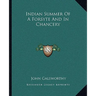 Indian Summer of a Forsyte and in Chancery
