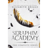Seraphim Academy: The Complete Series