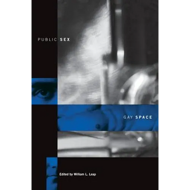 Public Sex/Gay Space