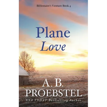 Plane Love: A Christian Romance