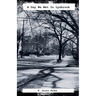 A Day We Met In Lynbrook