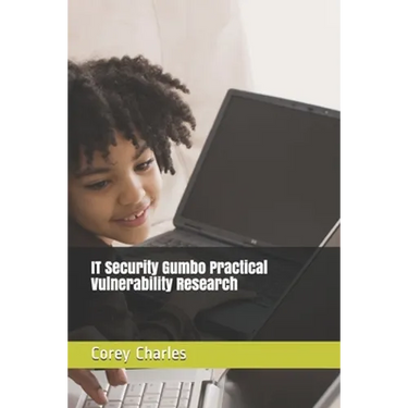 IT Security Gumbo Practical Vulnerability Research