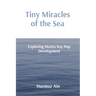 Tiny Miracles of the Sea: Exploring Manta Ray Pup Development