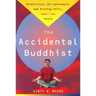 Accidental Buddhist: Mindfulness, Enlightenment, and Sitting Still, American Style