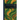 Ducks at a Distance