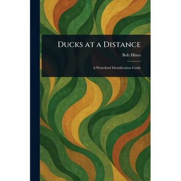 Ducks at a Distance