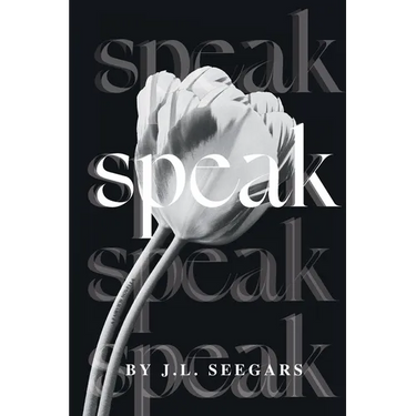 Speak: A Post Divorce Romance