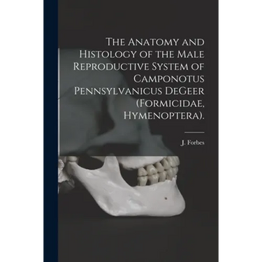 The Anatomy and Histology of the Male Reproductive System of Camponotus Pennsylvanicus DeGeer (Formicidae, Hymenoptera).