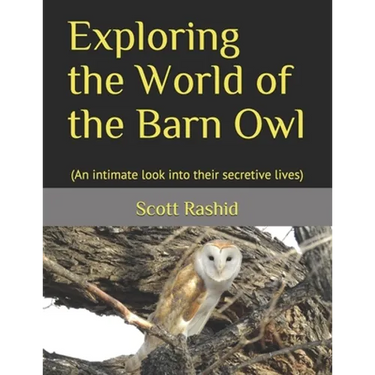 Exploring the World of the Barn Owl: (An intimate look into their secretive lives)