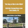 The Dogs of War in Our Midst: Civil War Perspectives from York County, Pa.