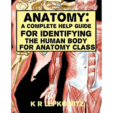 Anatomy: A Complete Help Guide For Identifying The Human Body For Anatomy Class