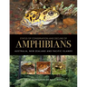 Status of Conservation and Decline of Amphibians: Australia, New Zealand, and Pacific Islands