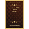 American Public Opinion (1914)