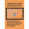 Spider Picture Book For Kids: Beautiful Pictures That Accompany The Descriptions Of All The Spiders: Black Widow Spider Facts For Kids