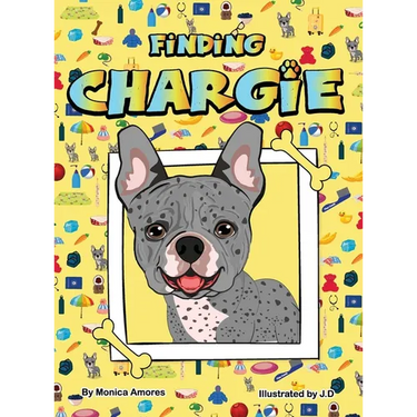Finding Chargie