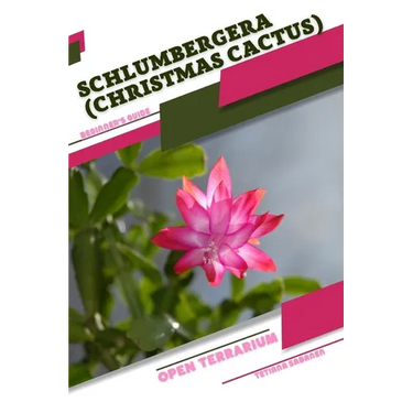 Schlumbergera (Christmas Cactus): Open terrarium, Beginner's Guide