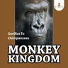Monkey Kingdom: Gorillas To Chimpanzees