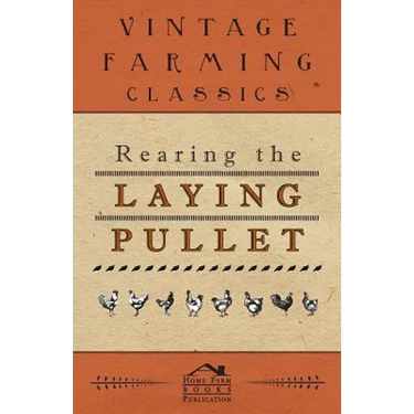Rearing the Laying Pullet