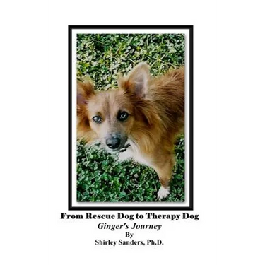 From Rescue Dog To Therapy Dog