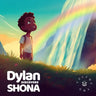 Dylan Discovers Shona: The Zimbabwean adventure