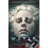 The Shape of Water: A Detective Mathieu Mystery
