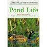 Pond Life: Revised and Updated