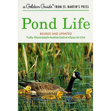Pond Life: Revised and Updated