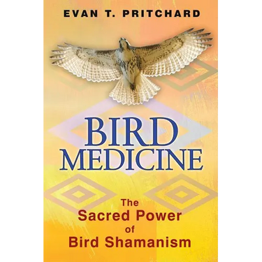 Bird Medicine: The Sacred Power of Bird Shamanism