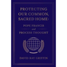 Protecting Our Common, Sacred Home: Pope Francis and Process Thought