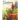 Gardening Journal