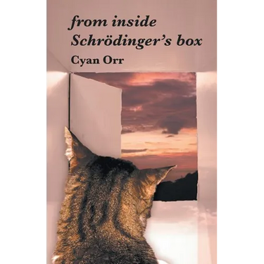 from inside Schrödinger's box