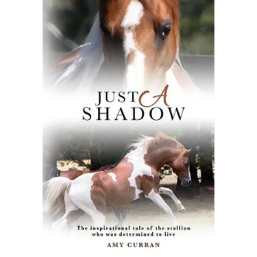 Just A Shadow