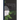 Plant Covering of Ocracoke Island; a Study in the Eecology of the North Carolina Strand Vegetation