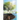 Rivers of Living Water