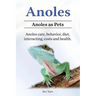 Anoles. Anoles as Pets. Anoles care, behavior, diet, interacting, costs and health.