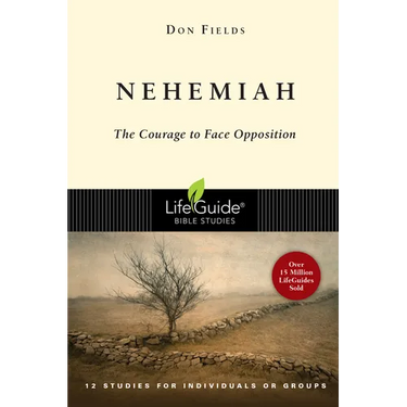 Nehemiah: Courage in the Face of Opposition